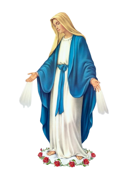 motherofdivinemercy.com