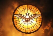 പരിശുദ്ധാത്മാവിൻ്റെ ഫലങ്ങൾ – Fruits of Holy Spirit Holy-Spirit