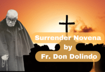 Surrender Novena surrender novena by Don Dolindo