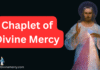 Chaplet of Divine Mercy Chaplet of divine mercy