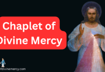 Chaplet of Divine Mercy Chaplet of divine mercy