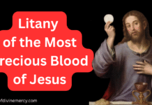 Litany of the Most Precious Blood of Jesus Litany of the Most Precious Blood of Jesus