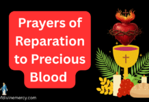 Prayers of Reparation to Precious Blood Prayers of Reparation to Precious Blood