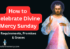 Divine Mercy Sunday 2026 Divine Mercy Sunday feast