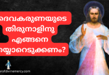 ദൈവ കരുണയുടെ തിരുനാൾ | Daiva karunayude Thirunal Karunayude thirunal