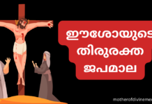 ഈശോയുടെ തിരുരക്ത ജപമാല Precious Blood Rosary malayalam