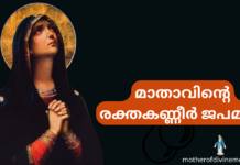മാതാവിന്റെ രക്തകണ്ണീർ ജപമാല Rosary of the Tears of Blood in Malayalam